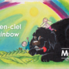 L'arc-en-ciel - The rainbow - Afbeelding 2