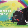 De Regenboog - L'arc-en-ciel - Afbeelding 2