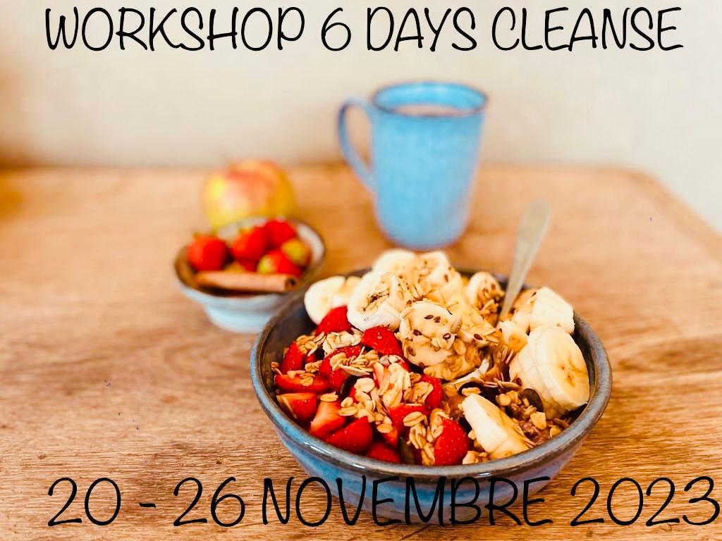 worshop 6 day cleanse